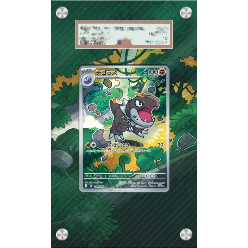 アートディスプレイポケモンティルントカード PTCG キーホ - Anime Merchandise From Japan のレビューと価格
