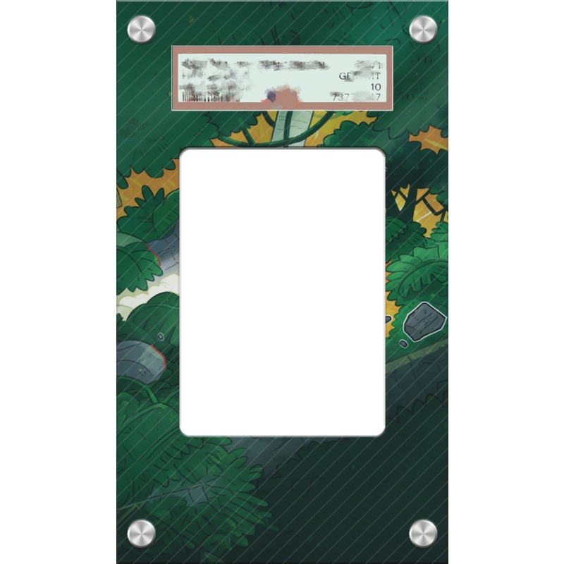 アートディスプレイポケモンティルントカード PTCG キーホ - Anime Merchandise From Japan のレビューと価格